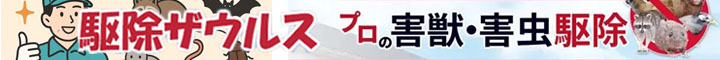 쏜UEX