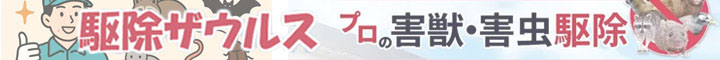 쏜UEX