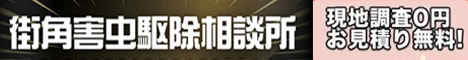 XpQb쏜k