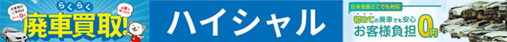�n�C�V����
