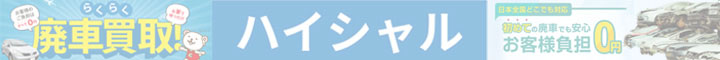 �n�C�V����