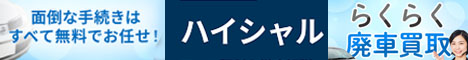 �n�C�V����